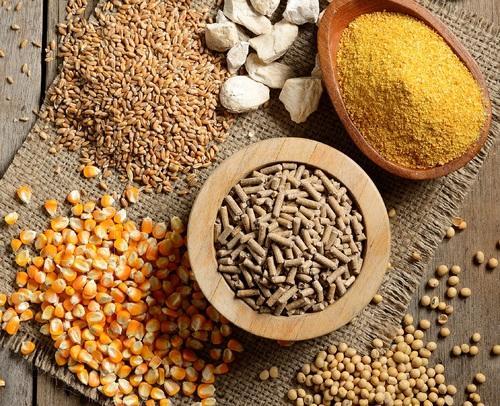 Animal Feed Raw Materials Supplier