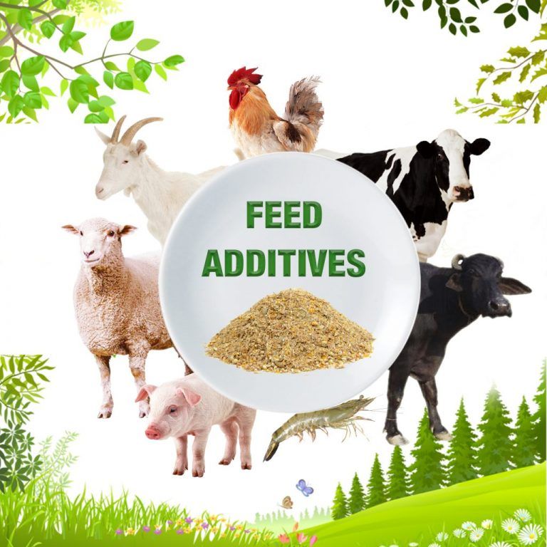 About AgriViva  