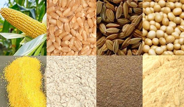 Premium Animal Feed Ingredients